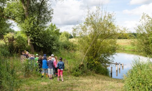 156655_CD MZ 1779 _DSF1369